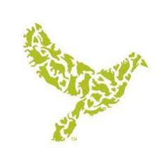The Dove Lewis logo, a green dove made up of animal shapes